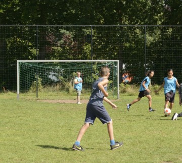 Sports field