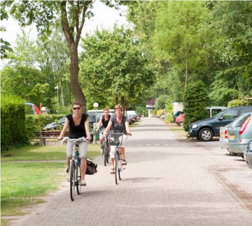 Bicycle/Bicycle rental
