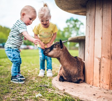 Dierenweide