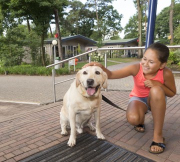 Honden